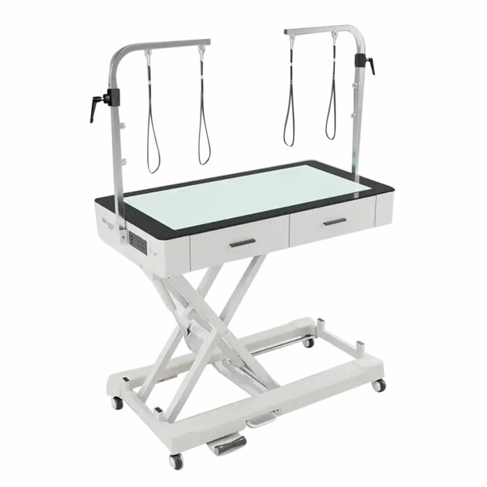 waggz-roll-bright-led-electric-dog-grooming-table-with-drawers.jpg Waggz Roll-Bright LED Electric Dog Grooming Table with Drawers - slika 1