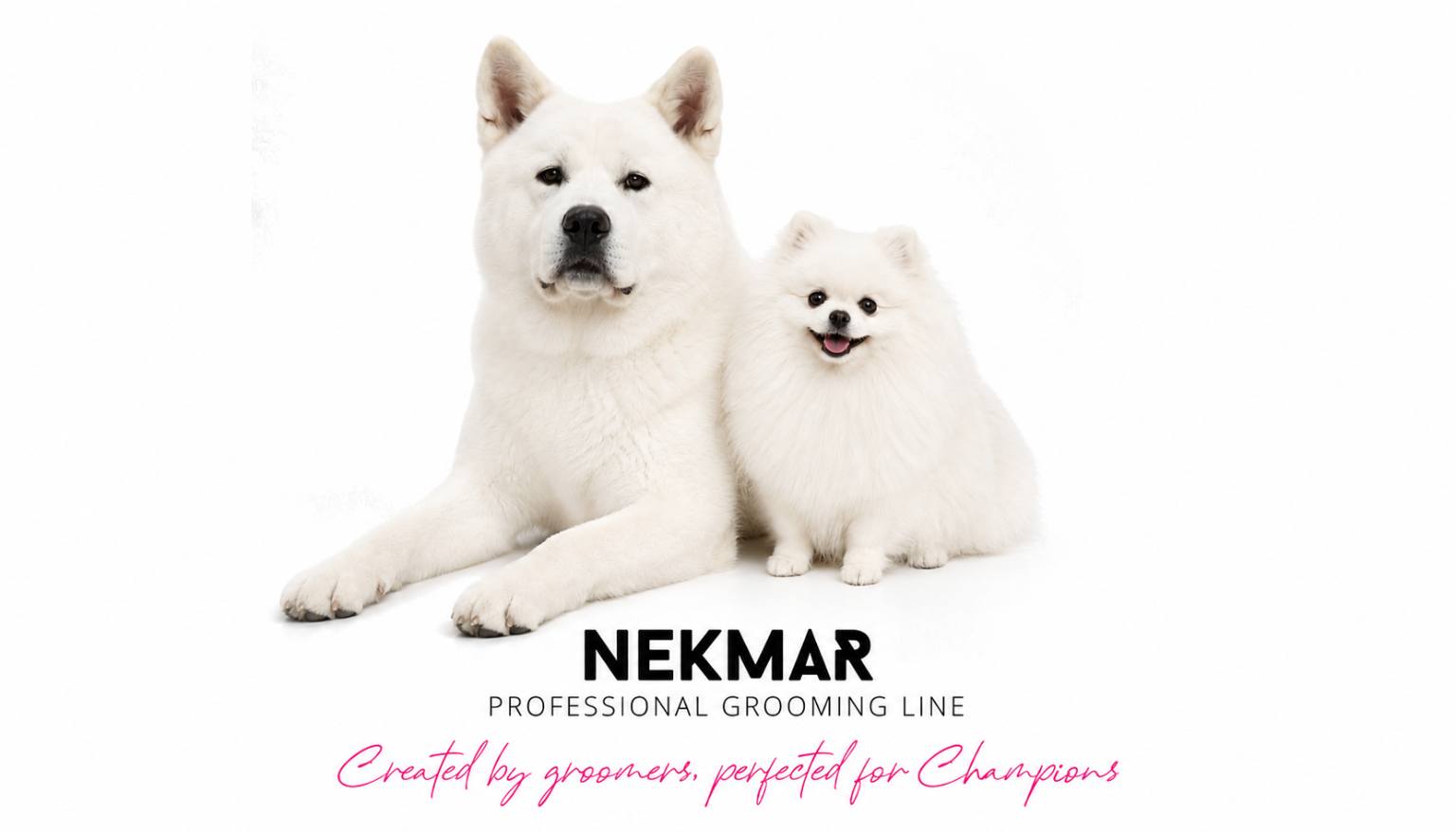 nekmargroomingline-1536x878new(1)(1)
