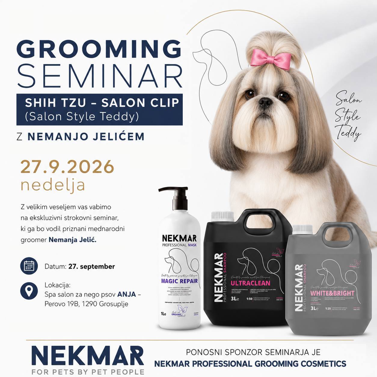 SeminarTeddy Grooming seminar - Shih Tzu Salon Clip (Salon Style Teddy) - slika 1